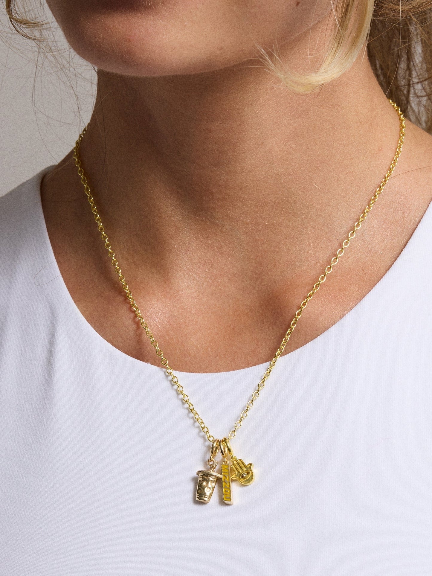 University of Missouri Cluster Charm - University of Missouri