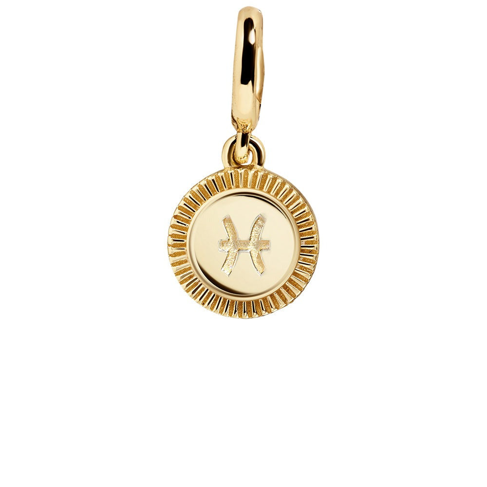 Zodiac Cluster Charm - Pisces