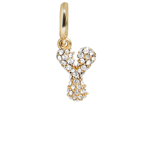 Pave Bubble Initial Cluster Charm - Y